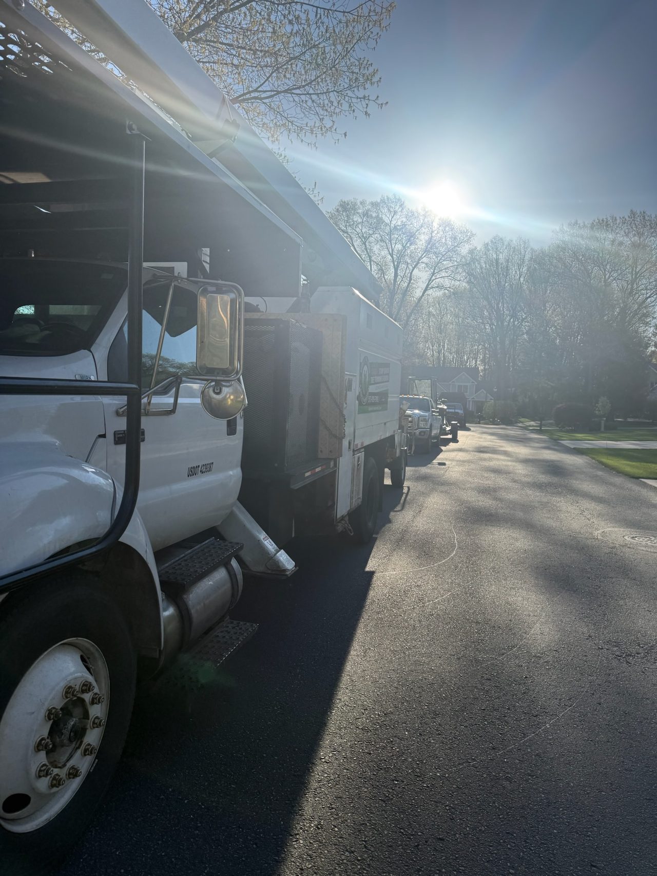 Tree work and property cleanup by Absolute Tree Service