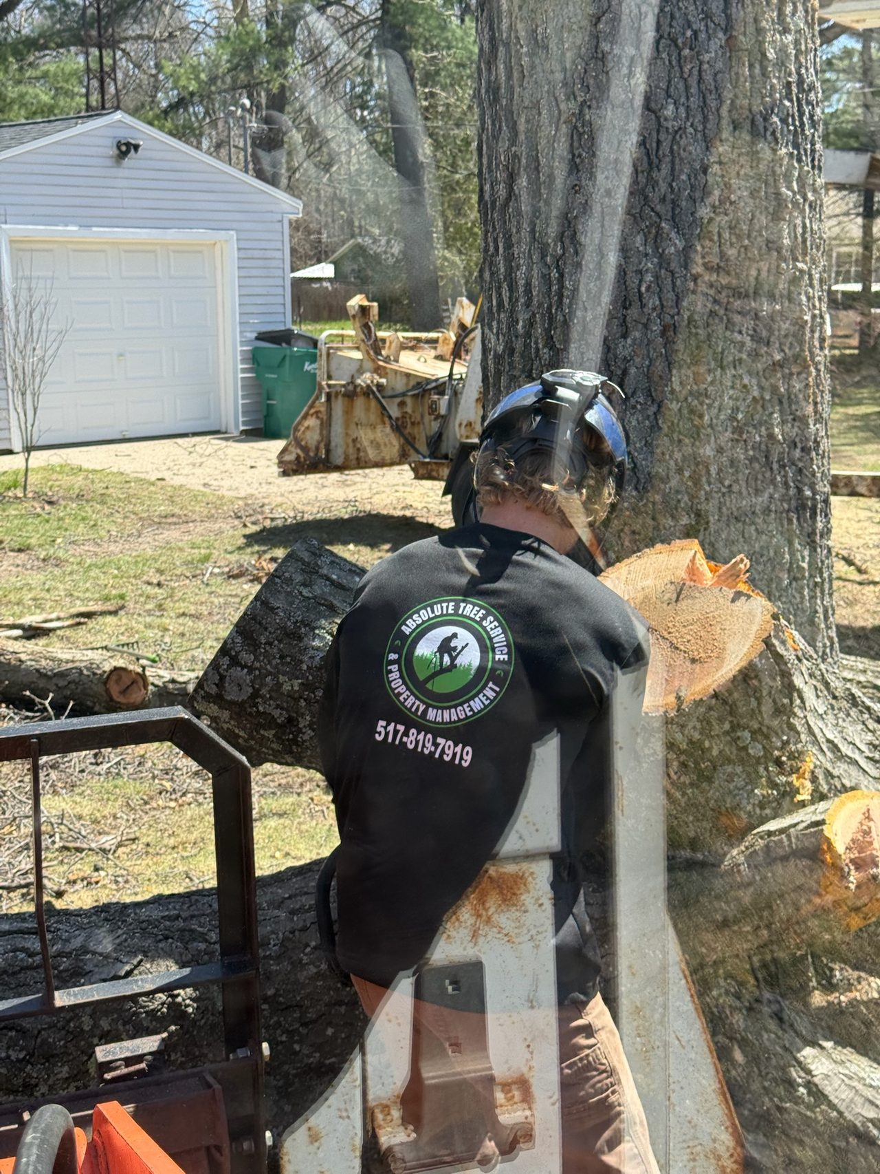 Absolute Tree Service crew working on a tree in West Michigan
